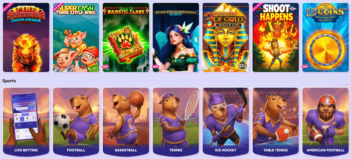 Spinbara Sports Betting and Live Dealer Games 
